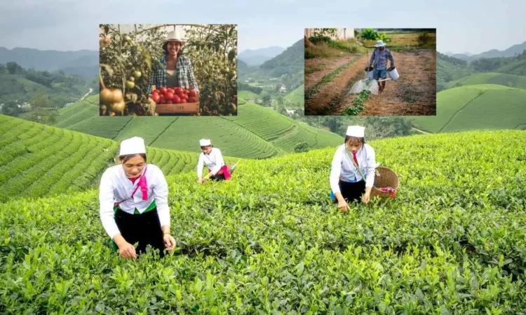 empleo de agricultor