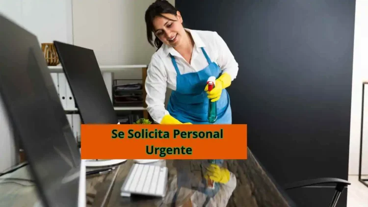 Personal de limpieza ´para trabajar en oficina